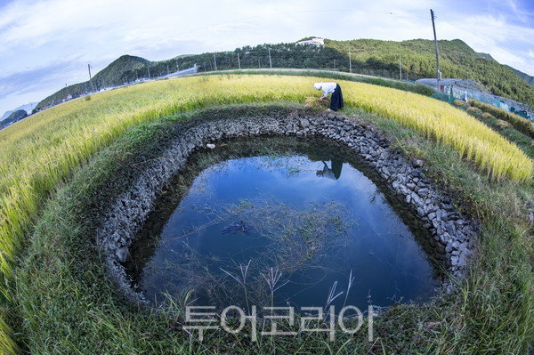 국가중요농업유산 제14호로 지정된 ‘경남 고성 해안지역 둠벙