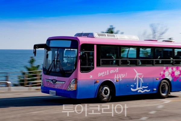 농촌형교통모델 ‘영덕 블루시티 버스' /사진-영덕군 제공