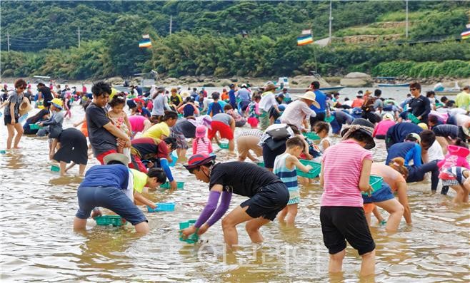 ‘알프스하동섬진강문화재첩축제 / 사진-하동군 제공