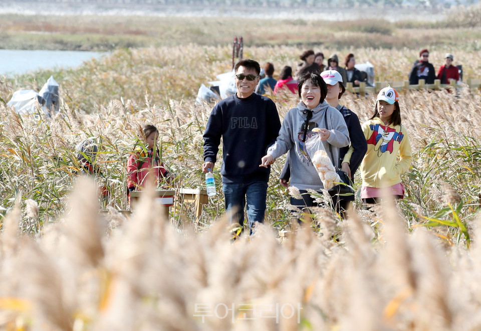 지난 2019년 10월 강진만 생태공원에서 개최한 ‘강진만 갈대축제’에 방문해 생태관찰로를 걷고 있는 관광객들