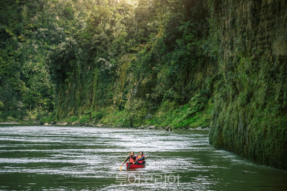 황가누이 강(Whanganui River)에서 래프팅을 즐기는 사람들 ⓒMiles Holden