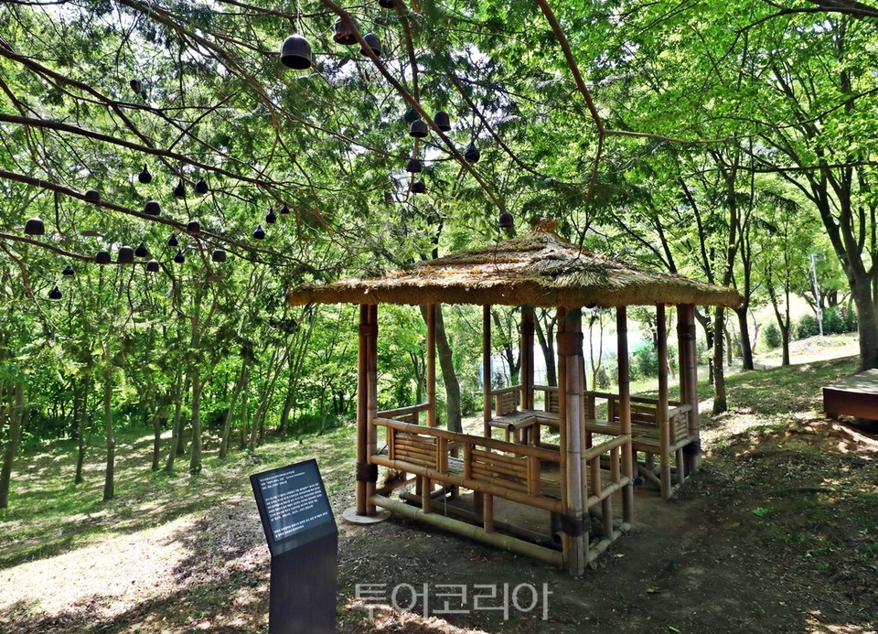 한국관광공사가 선정한 여름철 안심 관광지 '솔티숲'