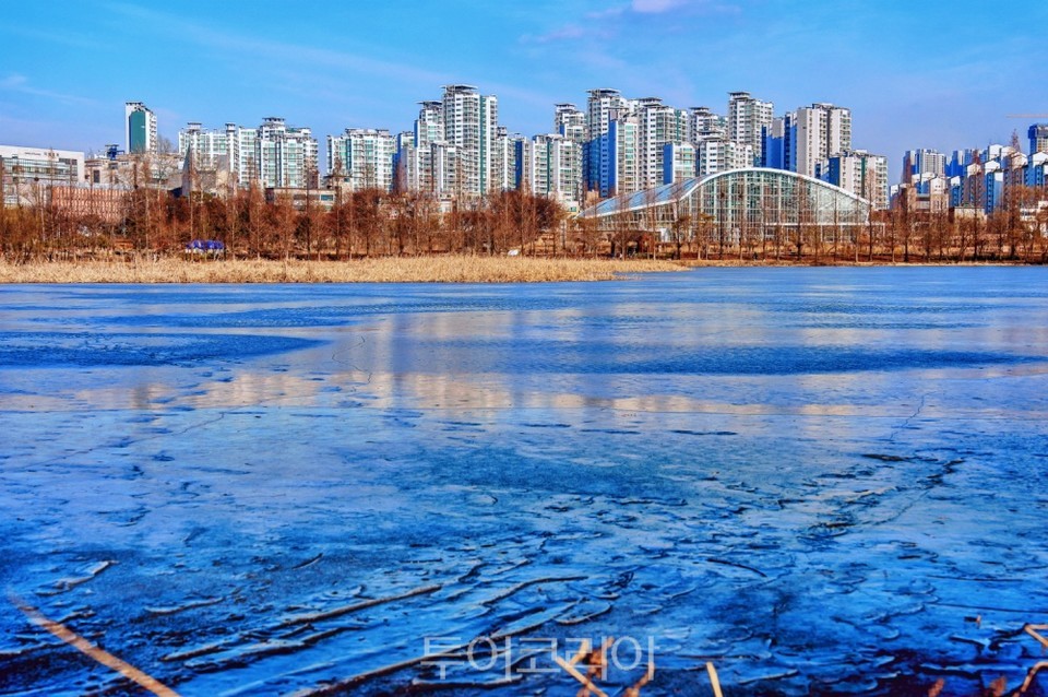 얼어붙은 일월저수지 수면 위로 아파트 등 도시의 풍경이 반사되고 있다.