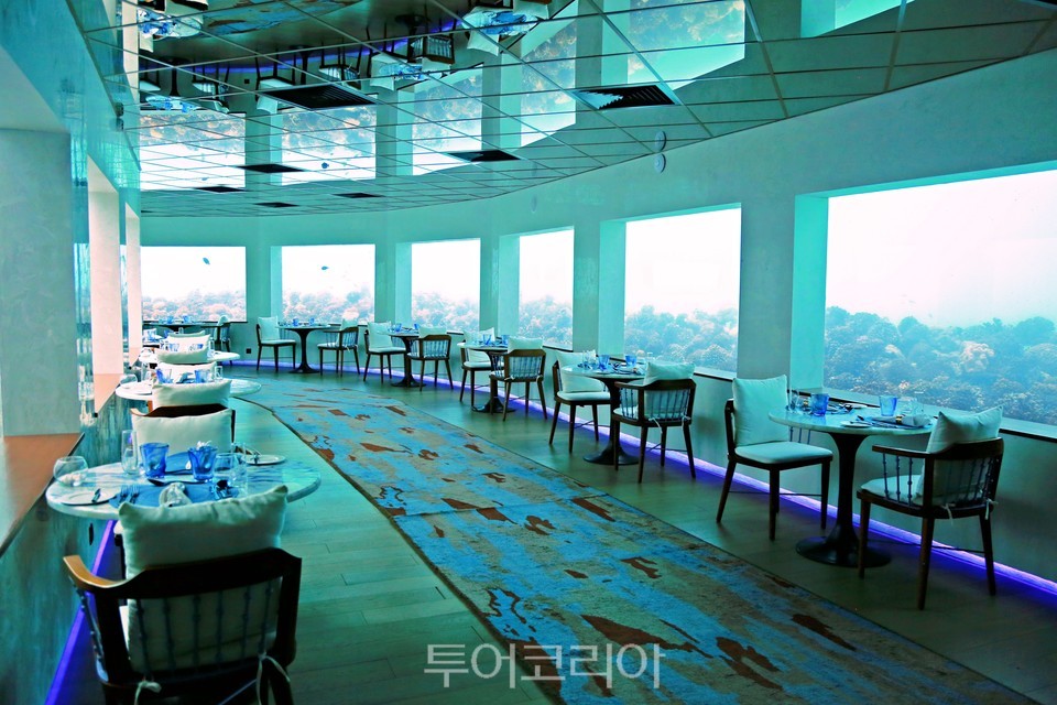 수중 레스토랑 온리 블루 (사진 : 김관수)