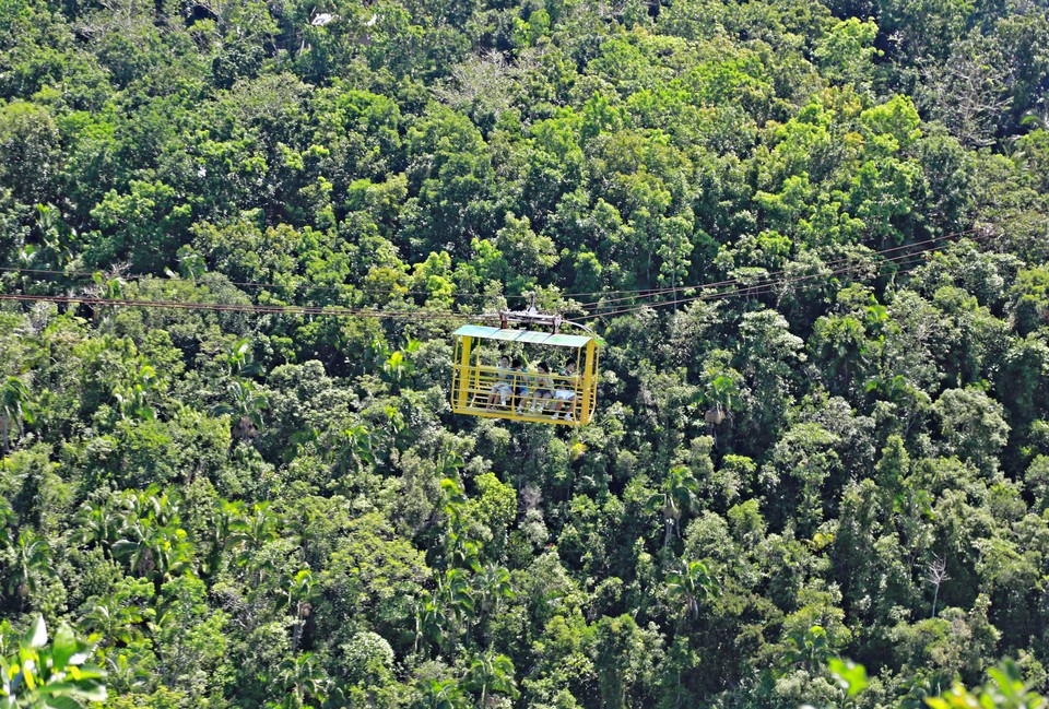 열대 밀림 위를 날아다니는 짚라인 케이블카 (사진. 김관수)