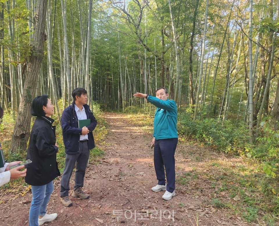 이병노 군수가 대나무 생태공원 현장에 방문, 점검하고 있다.
