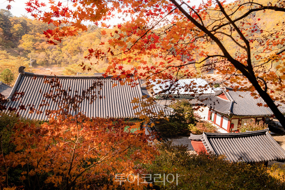 홍천 수타사 /사진 한국관광공사