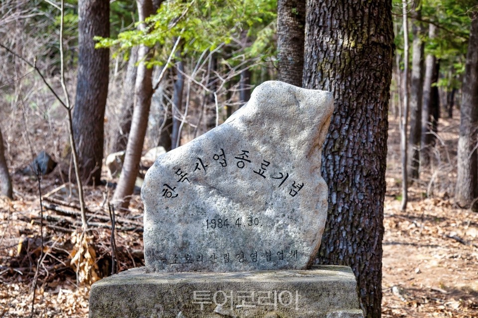 울주 소호 참나무숲 / 사진-산림청