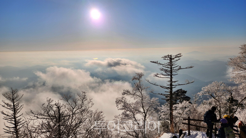 지리산국립공원에 펼쳐진 아름다운 설경