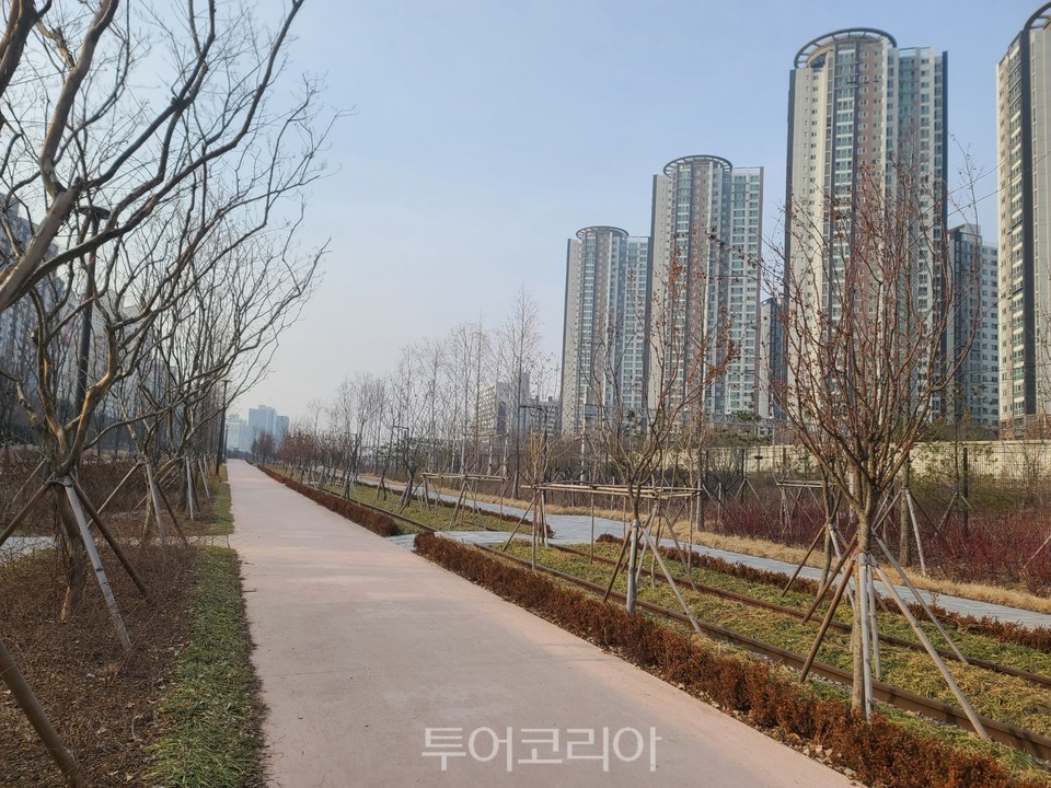 서울 마포구에 조성된 도시숲