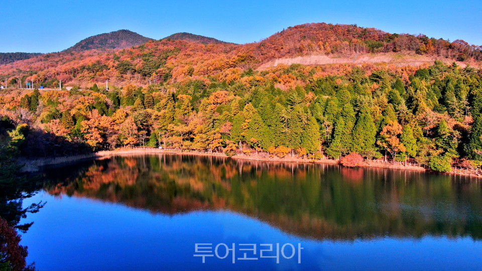 여수 봉화산 산림욕장의 그림같은 가을 풍경 /사진- 여수시 제공