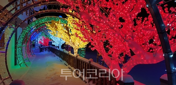 진안마이산소원빛축제 / 사진-진안군