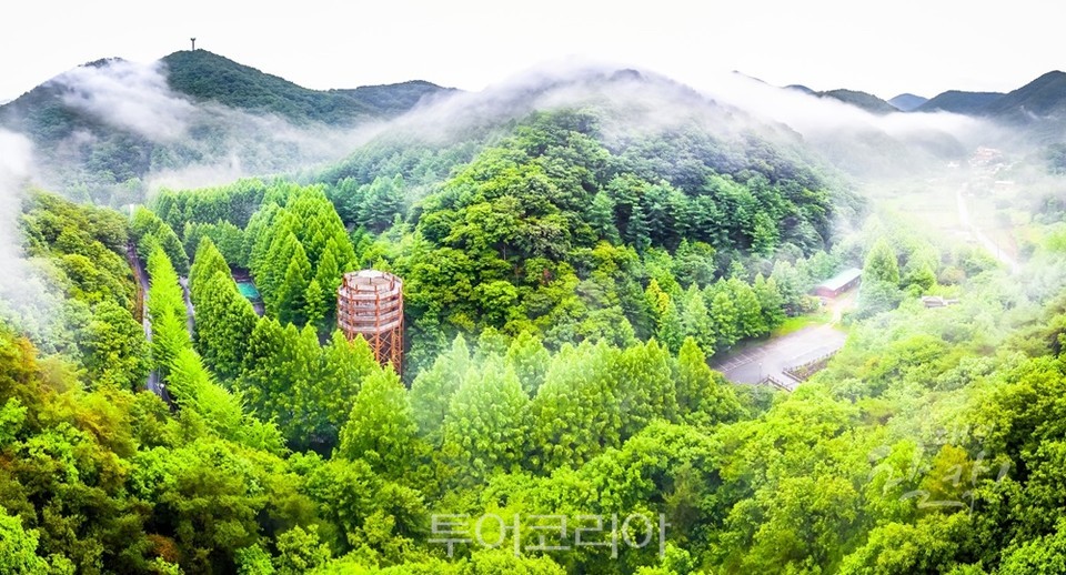 대전 장태산 자연휴양림 /사진-대전시청 제공