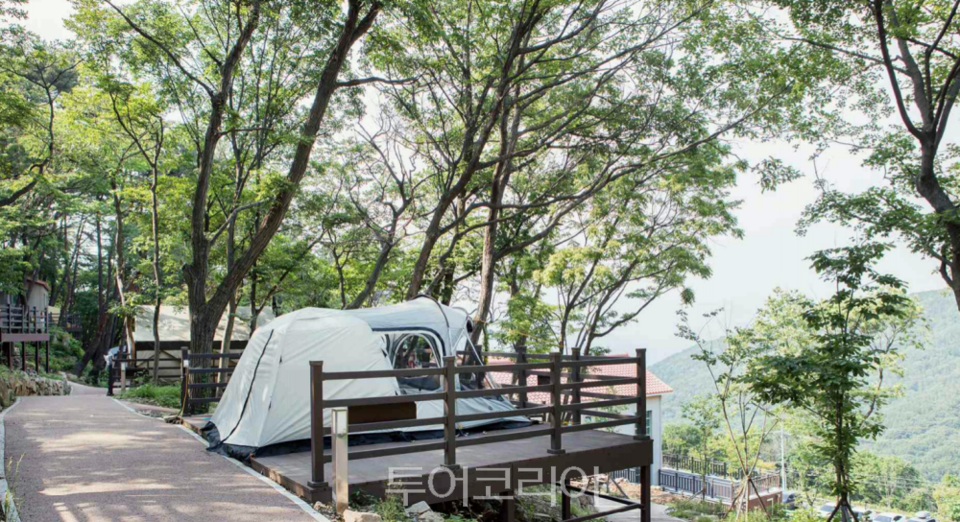 김해 신어산자연숲캠핑장