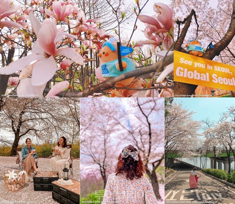 글로벌서울메이트가 지난 4일 진행한 영등포구 벚꽃축제인 '벚꽃 산책' 팸투어에 참가했다.