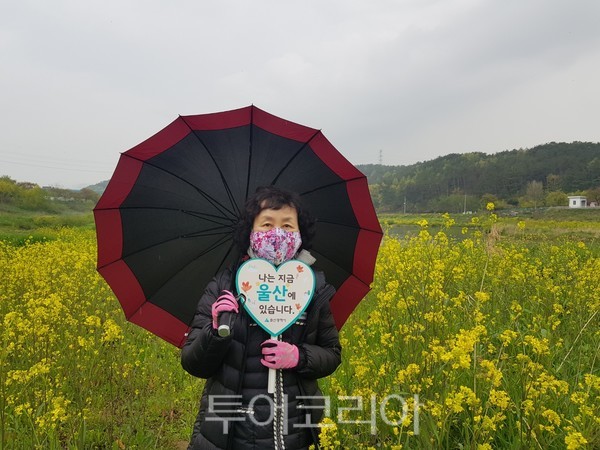 태화강 야생갓꽃 생태체험장을 지난 12일 찾은 박혜자씨가 울산 홍보 캠페인 손팻말을 들고 기념 촬영을 하고 있다.