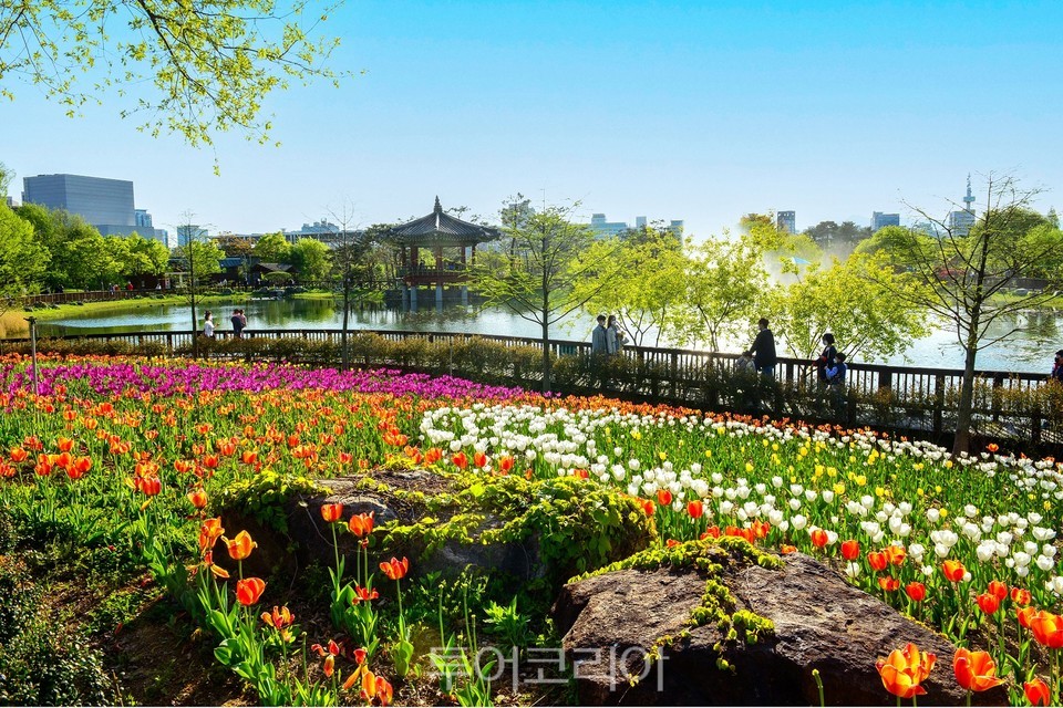 대전시 대전관광사진 전국공모전 금상 수상작 '수목원의 봄'
