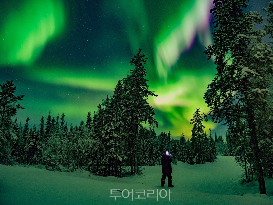 캐나다 옐로나이프 /사진출처-unsplash   캐나다 개썰매 /사진출처-pexels