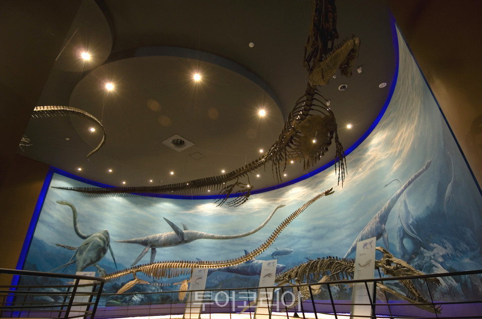 해남공룡박물관 해양파충류실