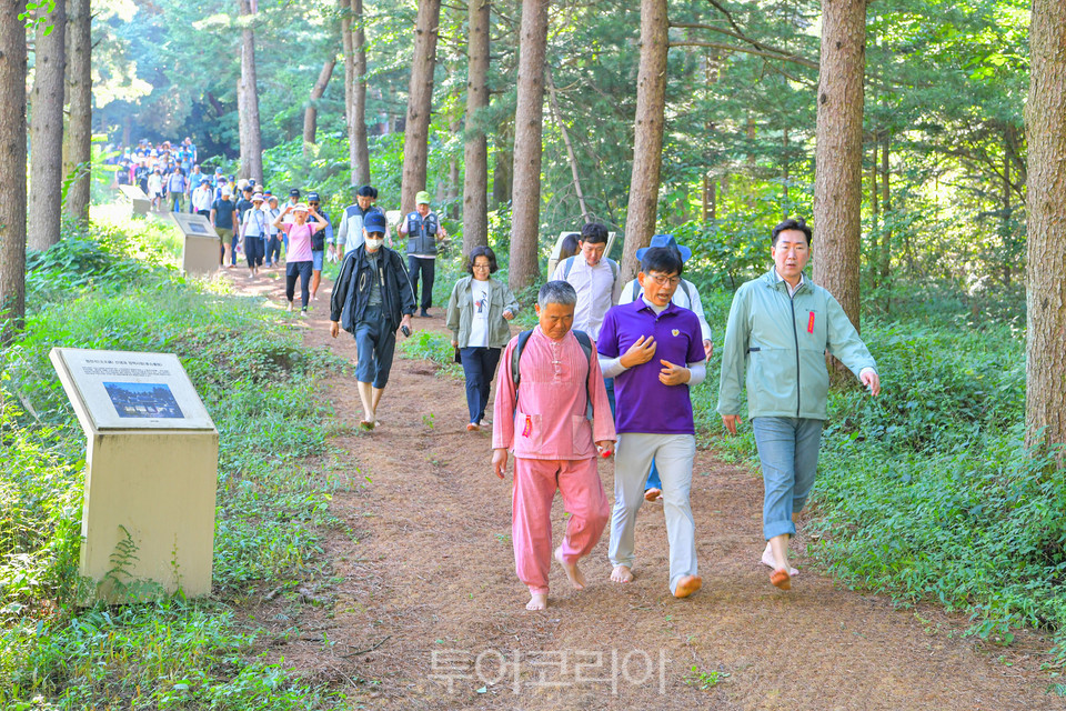 2일 원주맨발걷기 축제가 열려 참가자들이 산림욕을 즐기며 운곡솔바람숲길 일원 3.5㎞ 구간을 맨발로 걸고 있다.