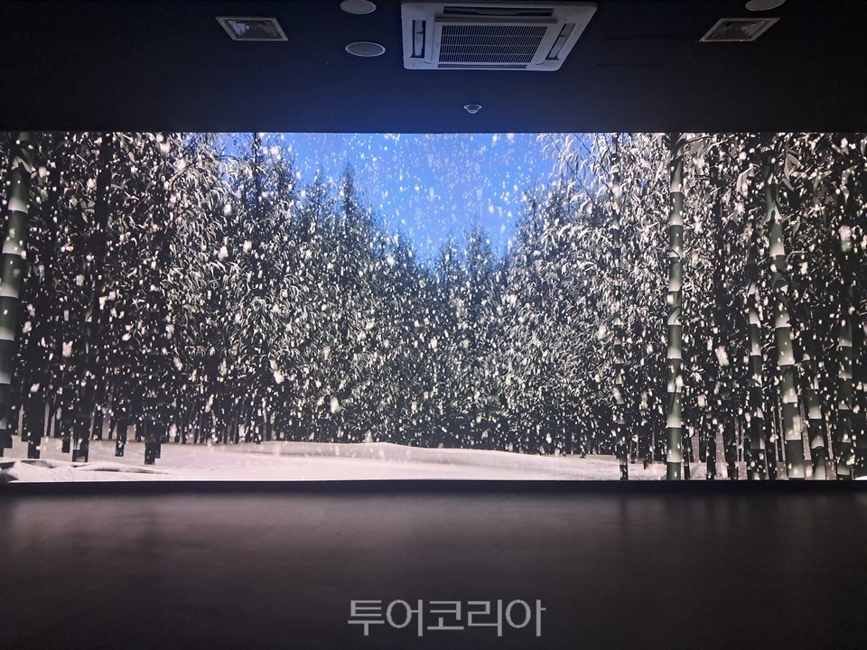 한국대나무박물관 전시실  /사진-딤양군